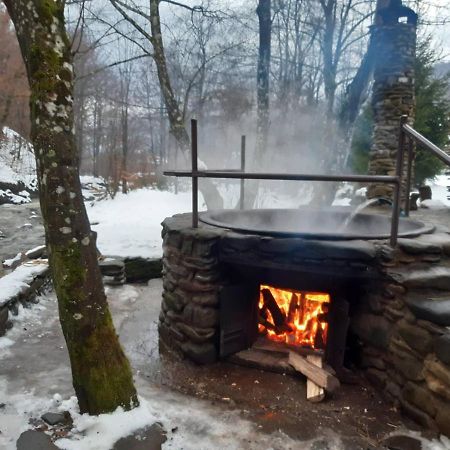 Villa Хатина Біля Потока Lumshory Exterior foto