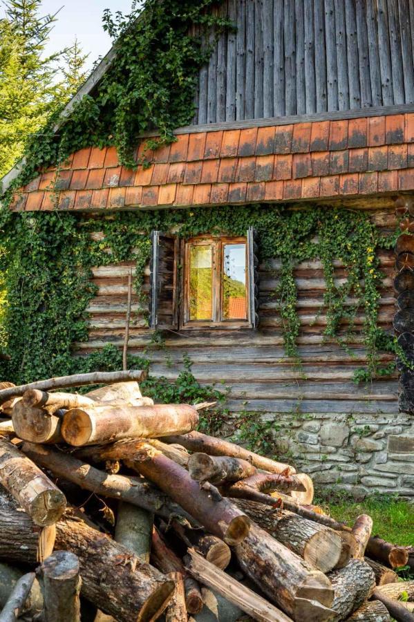 Villa Хатина Біля Потока Lumshory Exterior foto