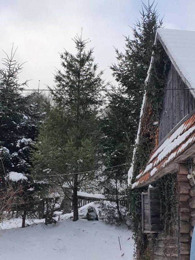 Villa Хатина Біля Потока Lumshory Exterior foto